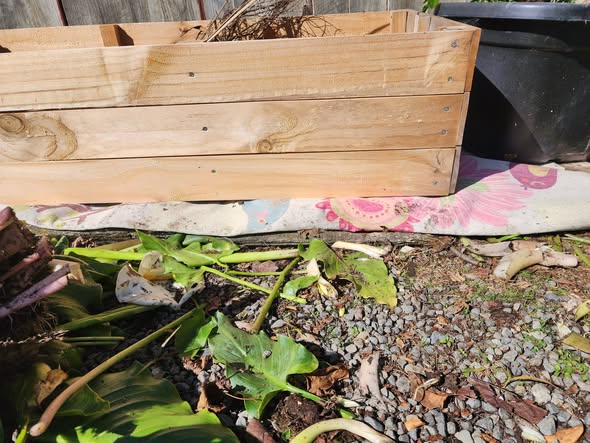 Empty wooden raised garden bed frame at the start of a build