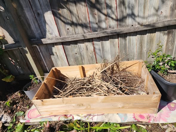 Raised bed layered with cabbage-tree leaves and sticks to bulk out the base