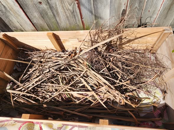Close-up of dry leaf and stalk layering inside the raised bed